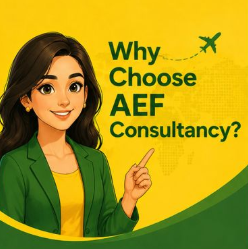 Why Choose AEF Consultancy?